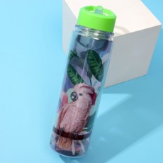Бутылка для воды «Попугай», 550 мл