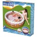 Бассейн надувной Sundae Funday, 160 x 160 х 38 см, 51144 Bestway