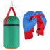 Детский боксёрский набор малый (перчатки+ груша d20 h35см), цвет МИКС