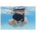 Набор для плавания Aqua Prime Snorkel Mask (маска,трубка) от 14 лет, цвета микс 24071