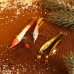 Подарочный набор для зимней рыбалки №2Ледянка Смешарики «Весёлой зимы»