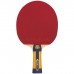Набор для настольного тенниса Atemi EXCLUSIVE: 1 ракетка, чехол, 2 мяча