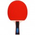 Ракетка для настольного тенниса BOSHIKA Championship, 2 звезды, цвета микс