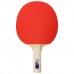Набор для настольного тенниса BOSHIKA Control 10, 2 ракетки,3 мяча, губка 1,5 мм, коническая ручка