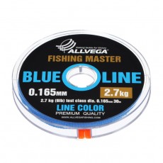 Леска монофильная ALLVEGA Fishing Master, диаметр 0.165 мм, тест 2.7 кг, 30 м, голубая